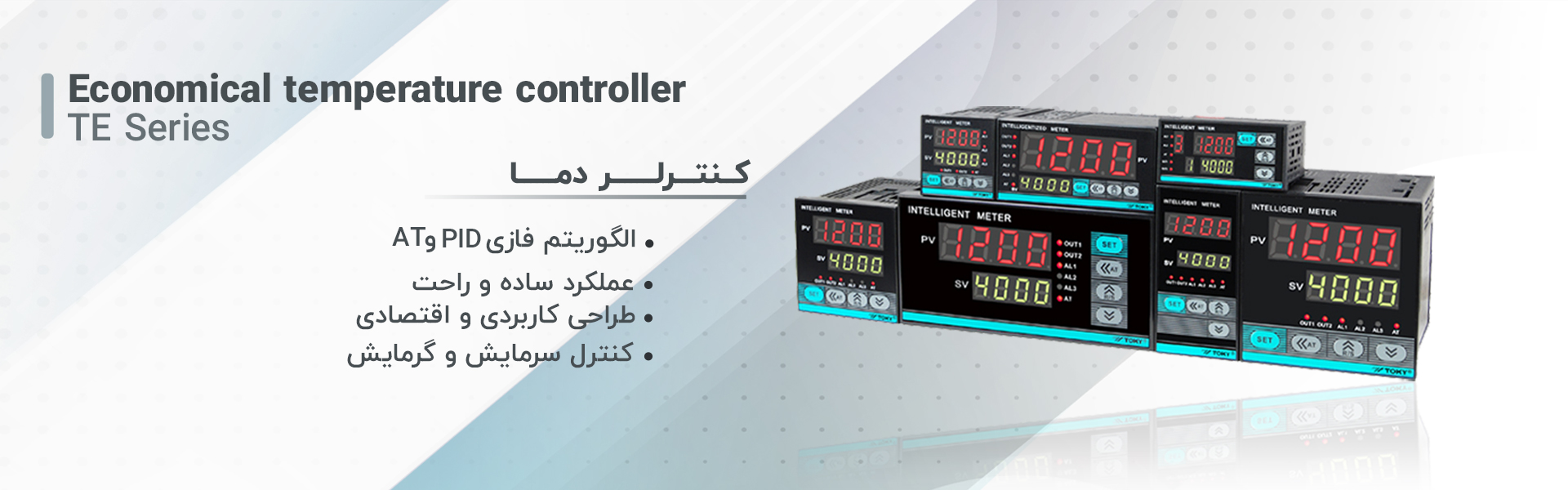 کنترلر دمای TE series